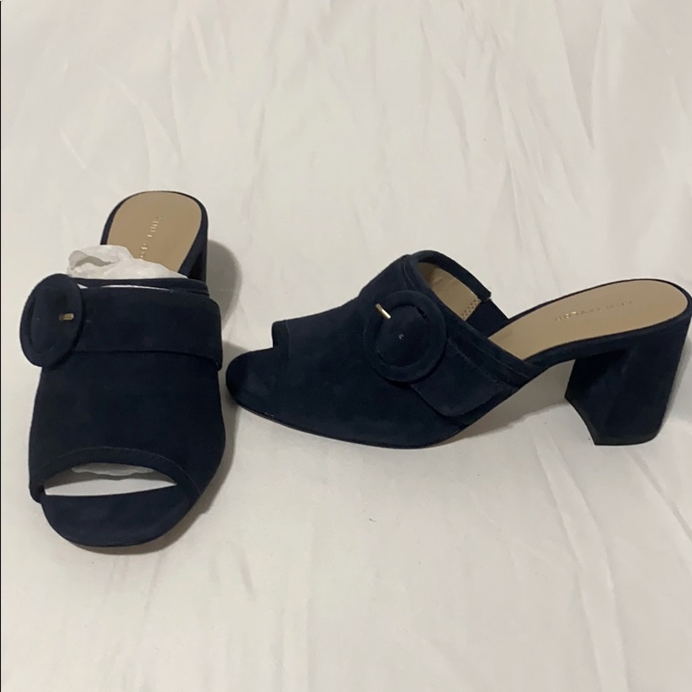 Ann Taylor Hester Suede Block Heel Sandal - SIZE 6